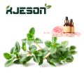 /msite/products/detail/productid/62875896/id/1511907.html